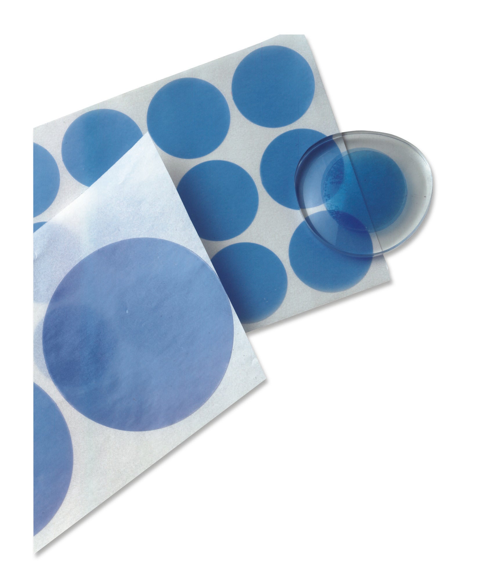 Adhesive Protector Disks