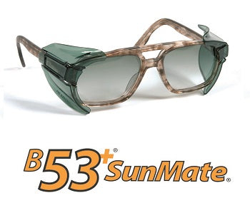 Side Shield Regular Tinted B53