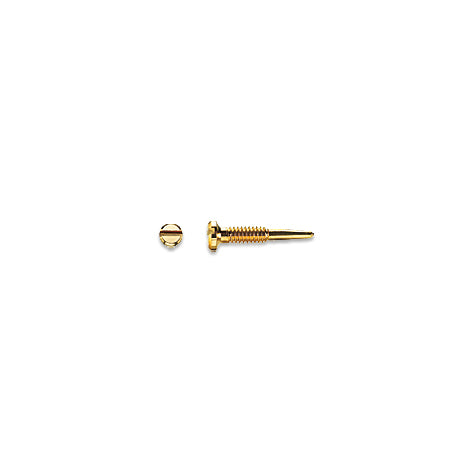 Self Aligning Screws - Gold