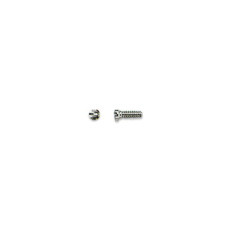 Stainless Steel Screws for Repair