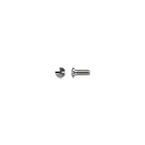 Stainless Steel Screws for Repair