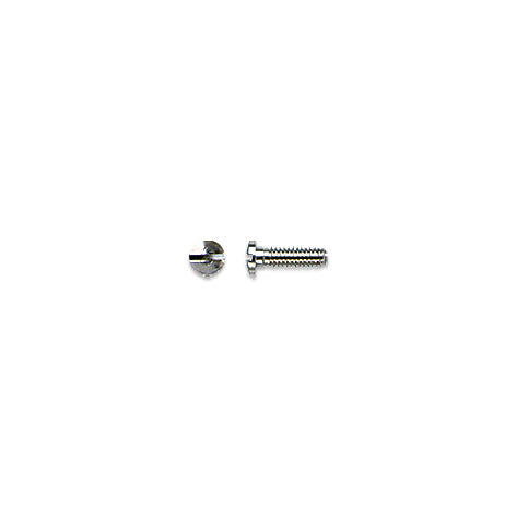 Stainless Steel Screws for Repair