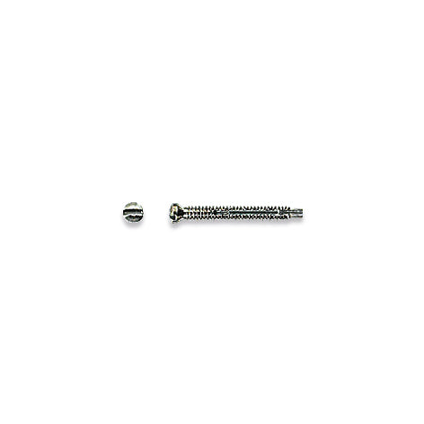 Self-tapping & Self-locking Screws for Metal Frames