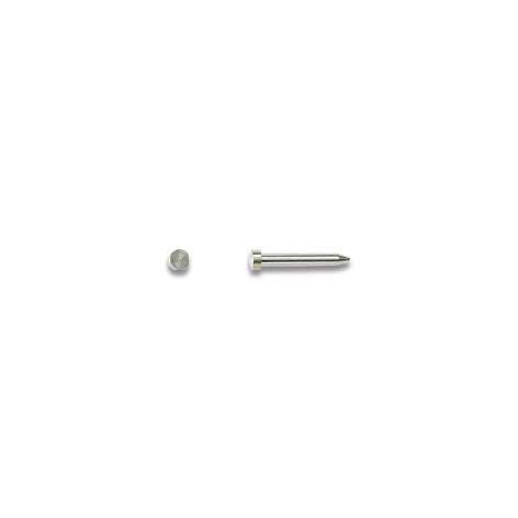 Pinned Hinges and Rivets