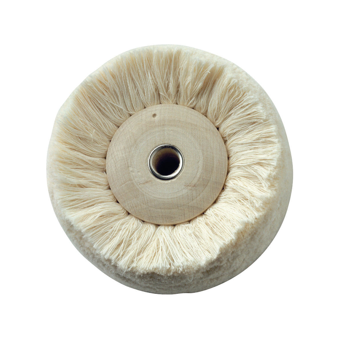 Polishing Brushes & Mops