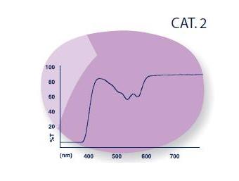 BPI Tints